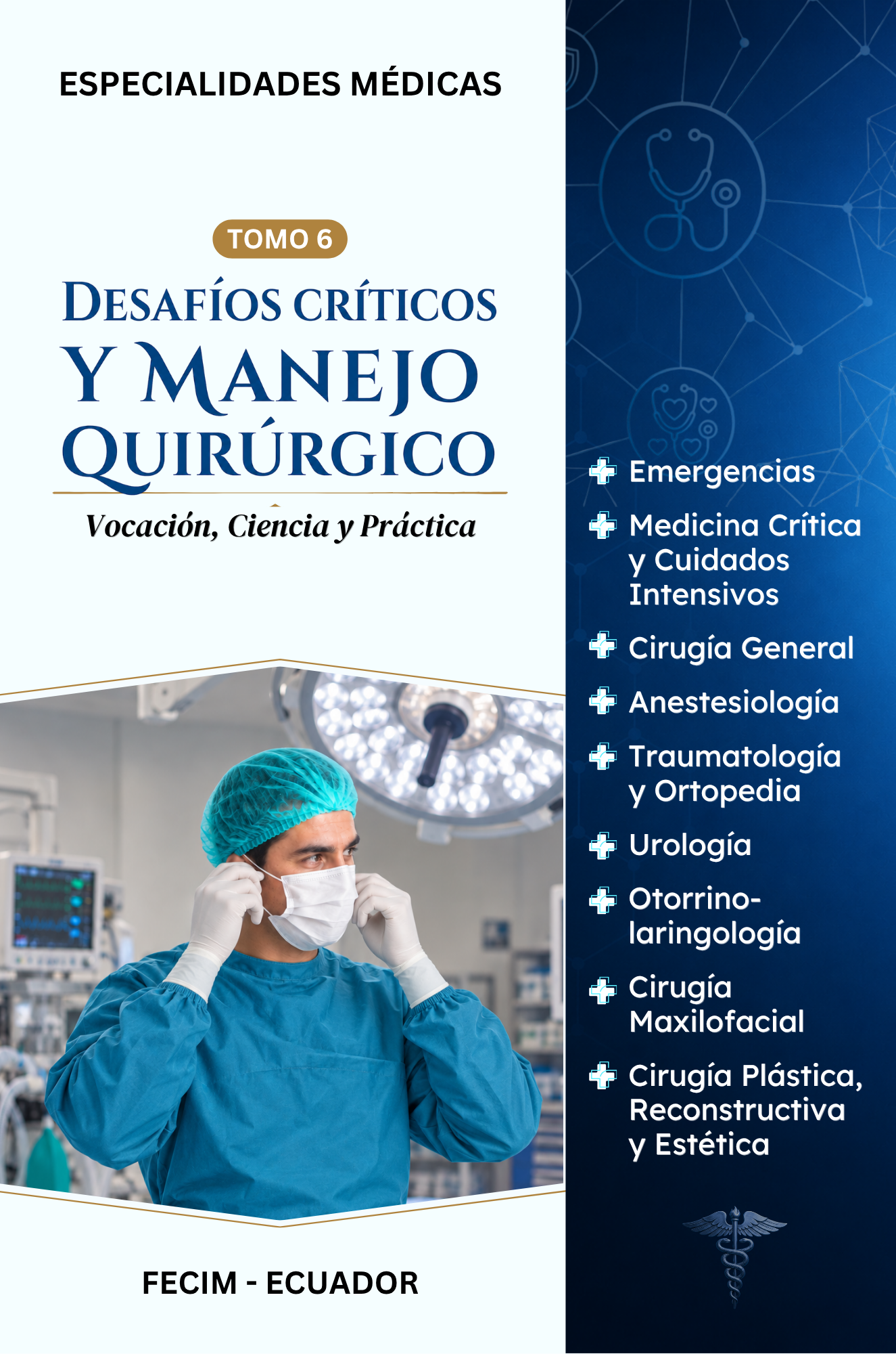 					Ver Vol. 6 Núm. bookmed20 (2026): Desafíos Críticos y Manejo Quirúrgico
				
